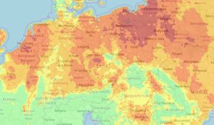 Polska bardziej zagrożona pożarami niż Grecja. Mapa pokazuje skalę dramatu