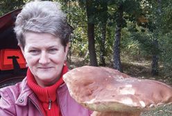 Grzybobranie trwa. Ten grzyb zagiął konkurencję