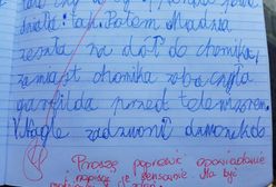 Polonistka karci dziecko za wypracowanie. Nawet Sylwia Chutnik stanęła w jego obronie