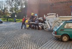 Kraków: upadł koń ciągnący dorożkę z turystami. Przechodnie ratowali zwierzę