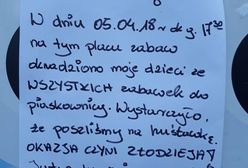 Skradziono zabawki z piaskownicy. "To nie pierwszy raz"