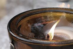 Znicz za 60 zł będzie płonąć "wiecznie". Cyfryzacja cmentarzy i nekropolie online