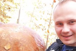 Grzybobranie na całego. Grzyb z Dolnego Śląska rozgromił konkurencję