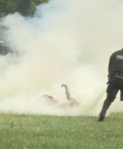 Waszyngton: mężczyzna podpalił się przed Białym Domem