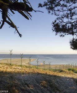 Dania postawi ogrodzenie na granicy z Niemcami