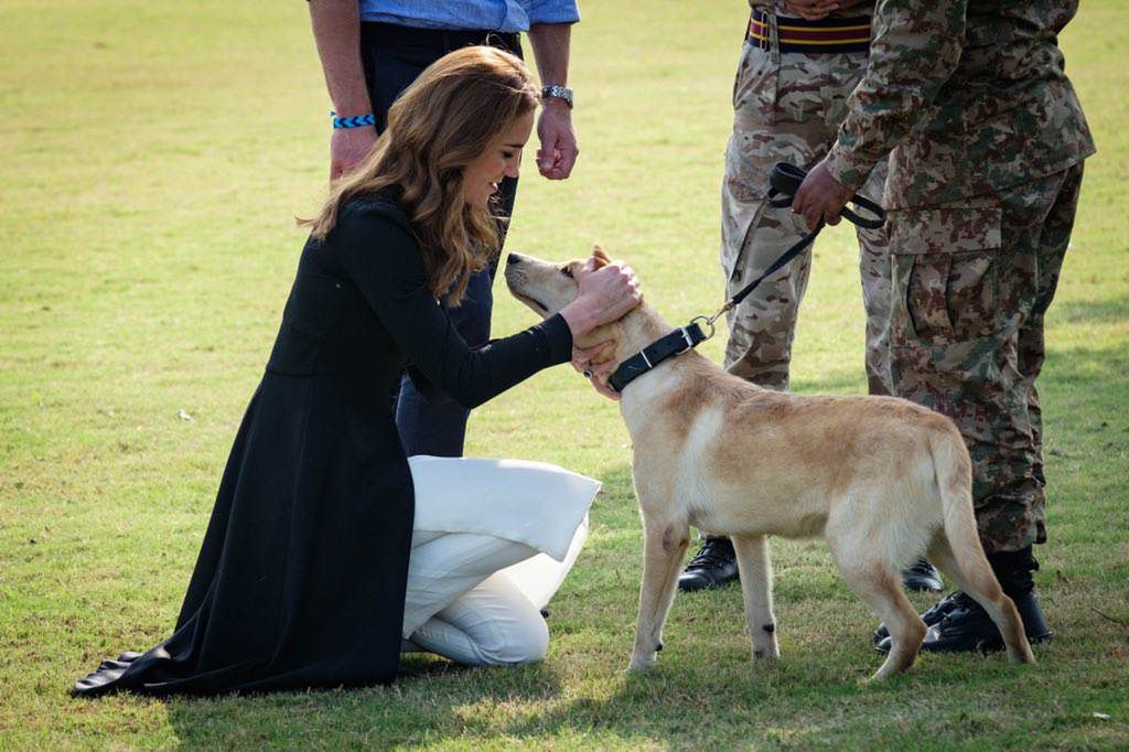Księżna Kate z pieskiem w Pakistanie