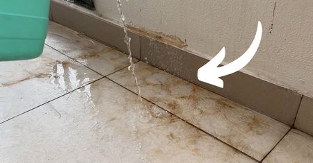 Zawsze po zimie czyszczę gres na balkonie tym płynem. Efekt widać już podczas mycia!