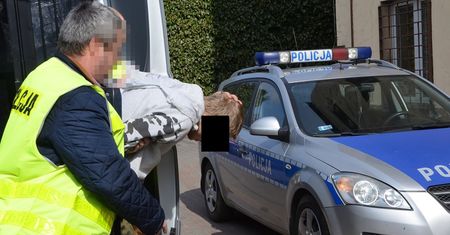 Nowe szczegóły ws. brutalnego pobicia 2,5-latka