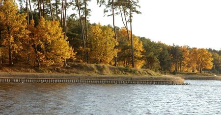 Lublin: Oblał się benzyną i chciał podpalić nad Zalewem Zemborzyckim