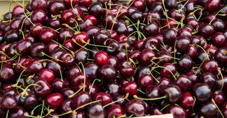 Pierwsze polskie czereśnie w sezonie 2017. Udało się nam znaleźć kilogram za 7 zł
