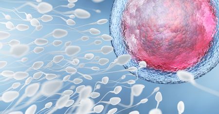 O krok od możliwości wyboru płci dziecka. Naukowcy rozdzielili chromosomy X i Y