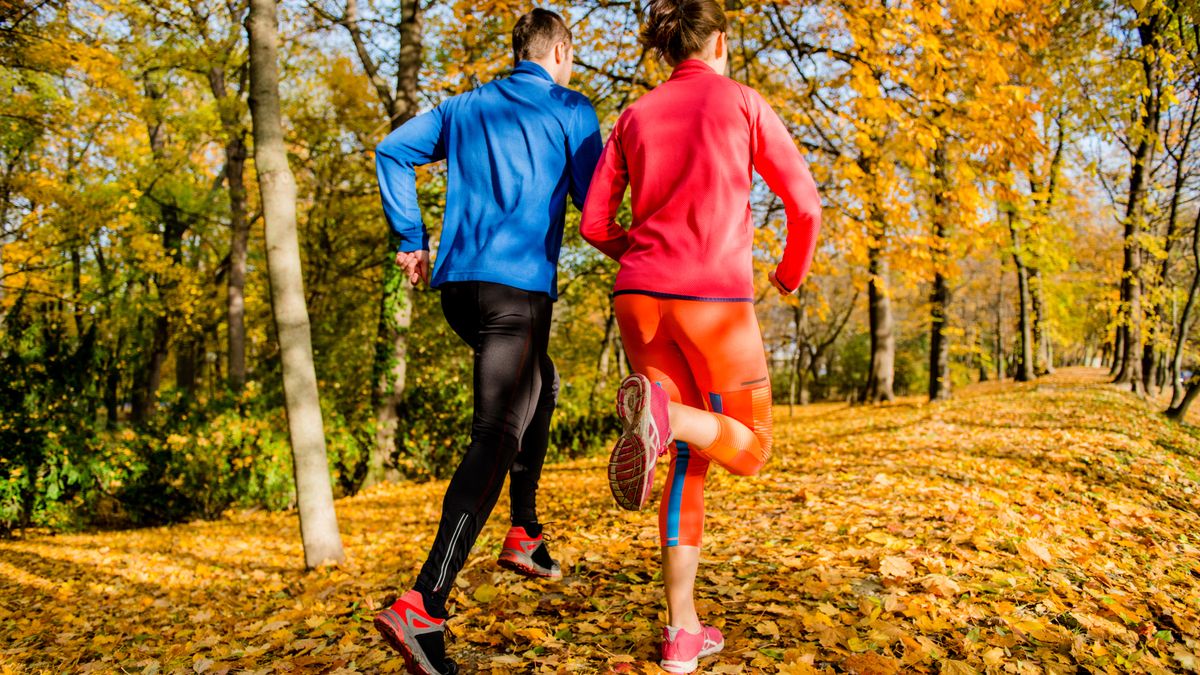 Running together - young couple jogging in autumn park, rear view