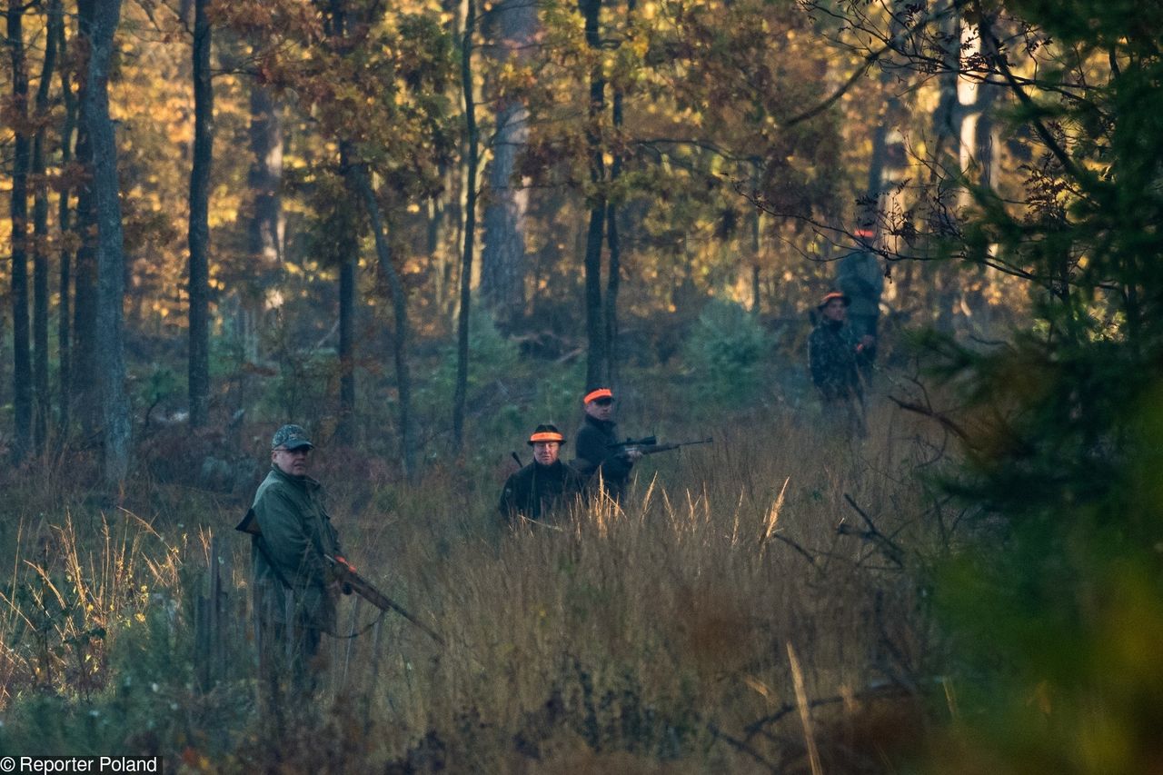 Tragedia na polowaniu. Zamiast dzika zastrzelił człowieka