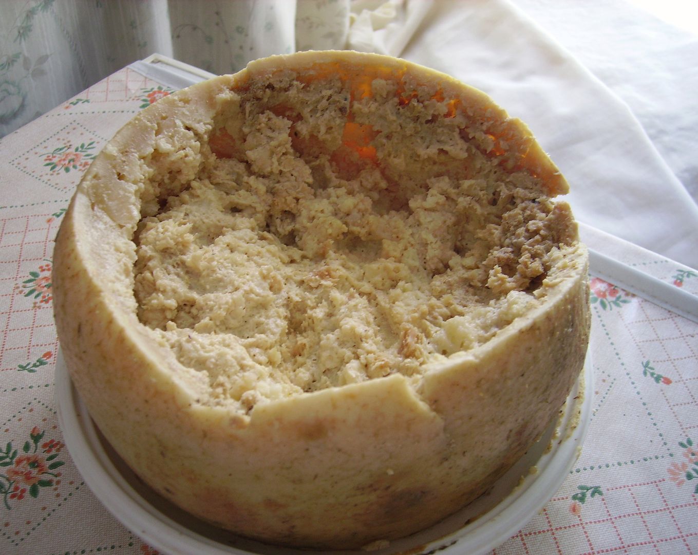 Casu marzu