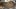 289831195137833978
