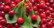 Pomysły na dania z wiśni. Zrób, zanim skończy się sezon