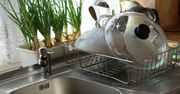 Ścierki kuchenne mogą być przyczyną zatrucia pokarmowego. Sprawdź, jak często je prać