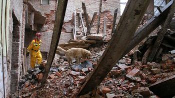 Strażacki pies Argo z przewodnikiem przeszukują ruiny