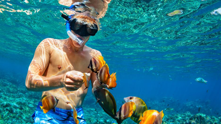Snorkeling to świetny sposób na zapoznanie się z podwodną fauną i florą.