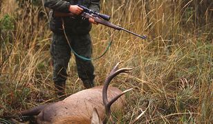 Ogonki. Myśliwy zmarł po upolowaniu jelenia