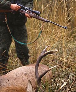 Ogonki. Myśliwy zmarł po upolowaniu jelenia