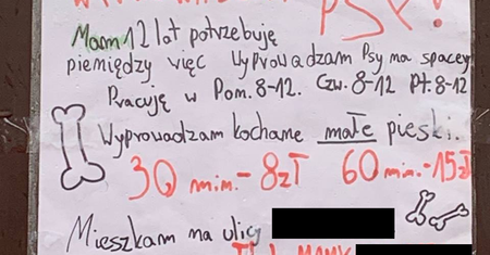 12-latek chce dorobić do kieszonkowego. Rozwiesił ogłoszenie
