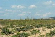 Szkolenia na 7 miesięcy przed