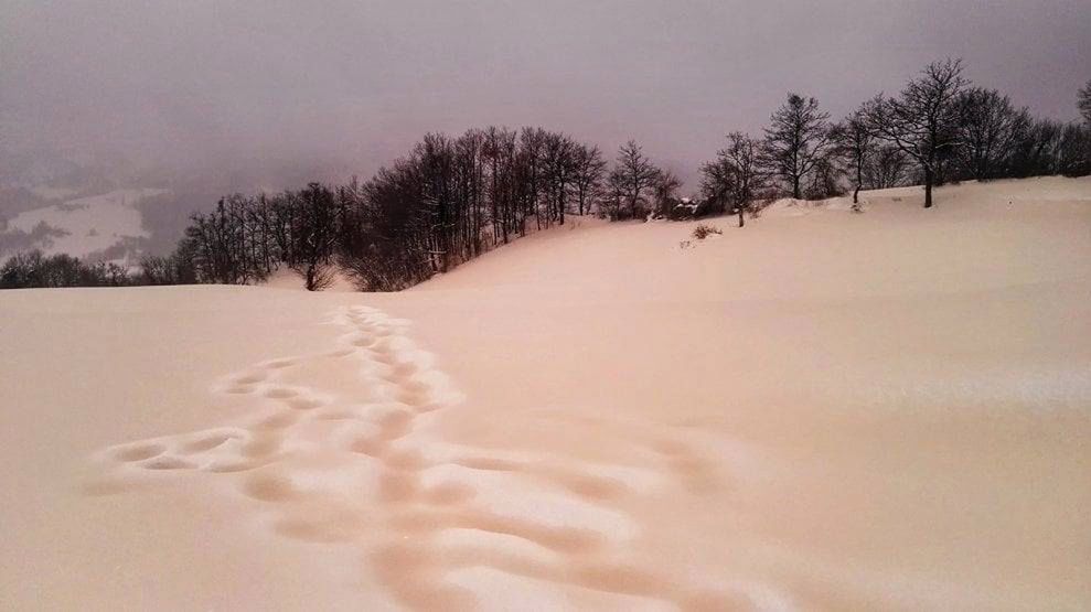 We Włoszech spadł różowy śnieg. "Dobrze, że nie żółty!"