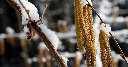 Pogoda na Wigilię i święta Bożego Narodzenia 2018: W ciągu dnia ciepło, w nocy mróz, opady deszczu i śniegu w całej Polsce