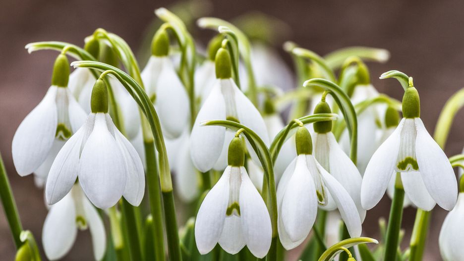 Prognoza pogody na dziś - sobota 16 marca. Jaka będzie dziś pogoda w Warszawie, Krakowie, Wrocławiu i Gdańsku.
