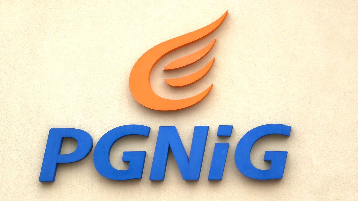 W całym 2019 roku grupa kapitałowa PGNiG miała 42 mld zł przychodów  