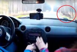 Przerażające nagranie wypadku na drodze krajowej. Jeleń wszedł prosto pod koła