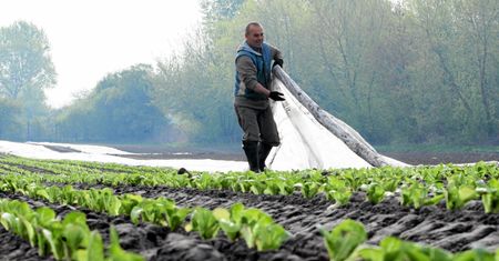 Miasto chce zlikwidować gospodarstwo o prawie 150 letniej tradycji