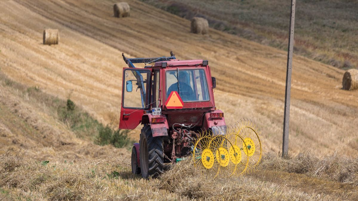 Wielu rolników zamiast produkować żywność, tylko bierze dotacje