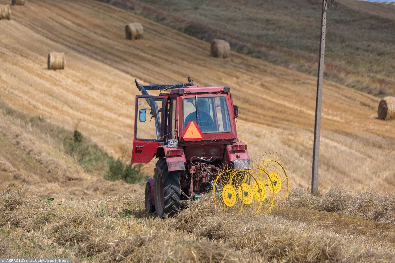 Rolnicy żyją z dotacji. Produkują tylko dla siebie