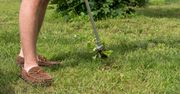 Skuteczne sposoby na pozbycie się chwastów. Polecamy odpowiednie akcesoria