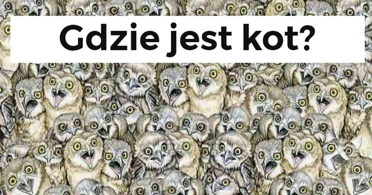 Na rysunku ukryty jest kot. Odszukanie go jest trudniejsze, niż myślisz