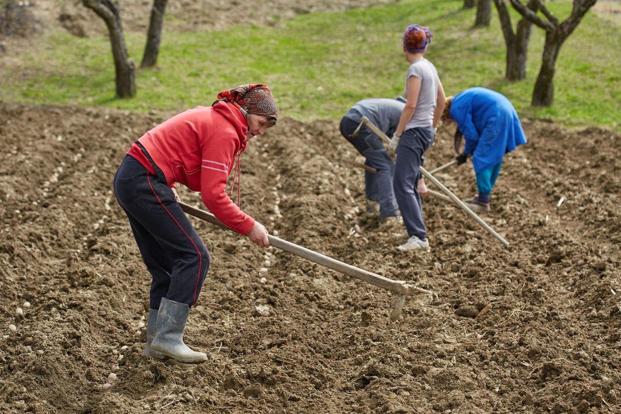 Życie we współczesnej komunie