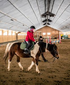 Małopolska. Były dyrektor stadniny usłyszał zarzut gwałtu