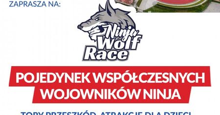 Pojedynek Współczesnych Wojowników Ninja