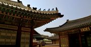 Są prawdopodobnie najbardziej zaawansowanym technologicznie państwem na świecie. W jaki sposób Korea Płd. odniosła sukces?