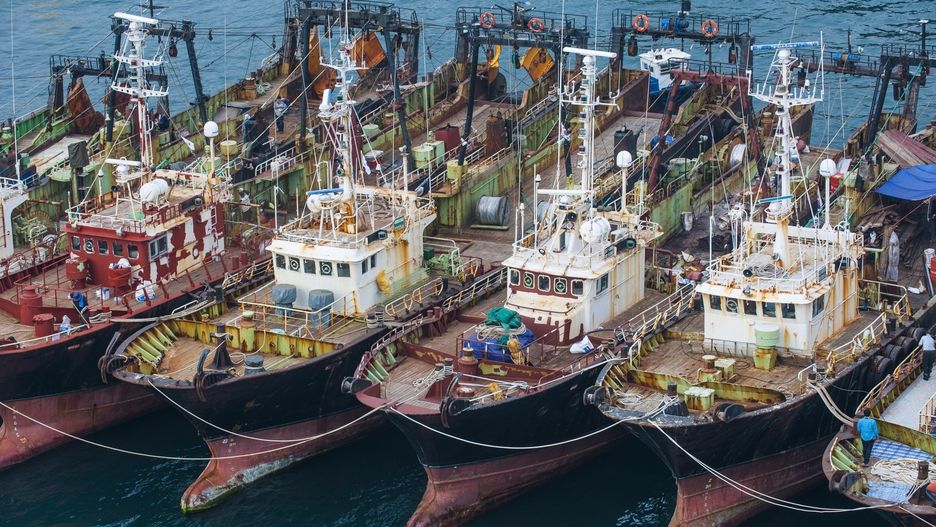 Zderzenie kutrów na Morzu Japońskim. 13 osób zostało uratowanych.