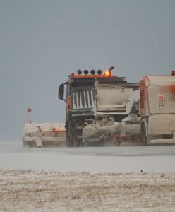 Problemy Polaków w Luton. "Jesteśmy traktowani jak śmiecie"