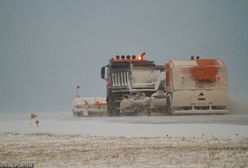 Problemy Polaków w Luton. "Jesteśmy traktowani jak śmiecie"