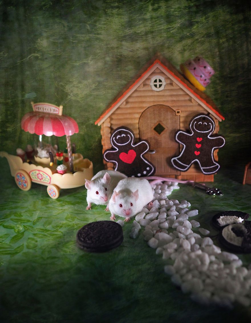 Robi im bajkowe zdjęcia. Powód chwyta za serce