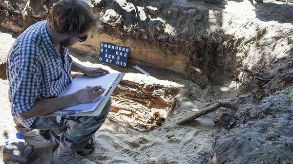 Domyślny opis zdjęcia na stronę główną
