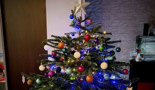 Własnoręczne ozdoby, pierniki i plastry pomarańczy. Wasze choinki!