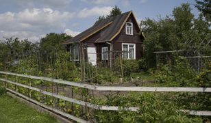 Precedensowy wyrok NSA. Działkowcy się ucieszą