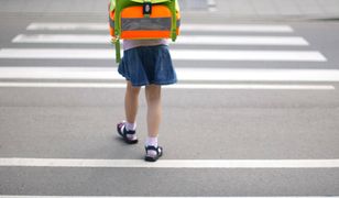 Szczecin. Mężczyzna próbował porwać dziewczynkę