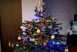 Własnoręczne ozdoby, pierniki i plastry pomarańczy. Wasze choinki!